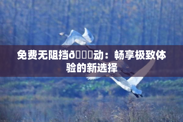 免费无阻挡🔞动：畅享极致体验的新选择
