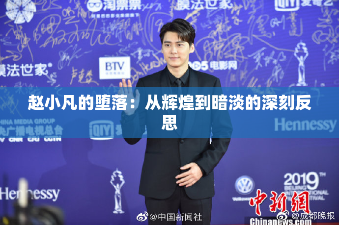 赵小凡的堕落：从辉煌到暗淡的深刻反思