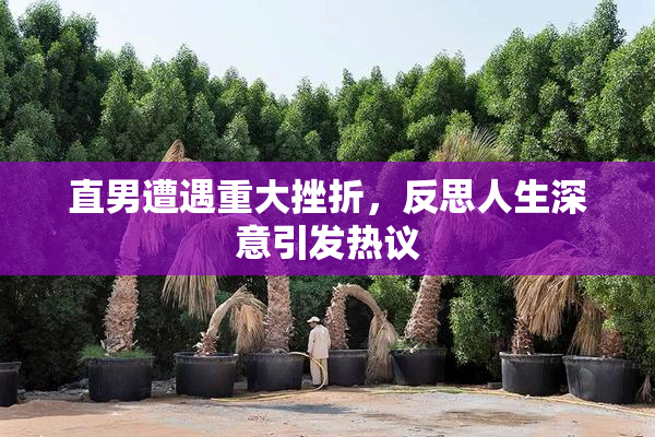 直男遭遇重大挫折，反思人生深意引发热议