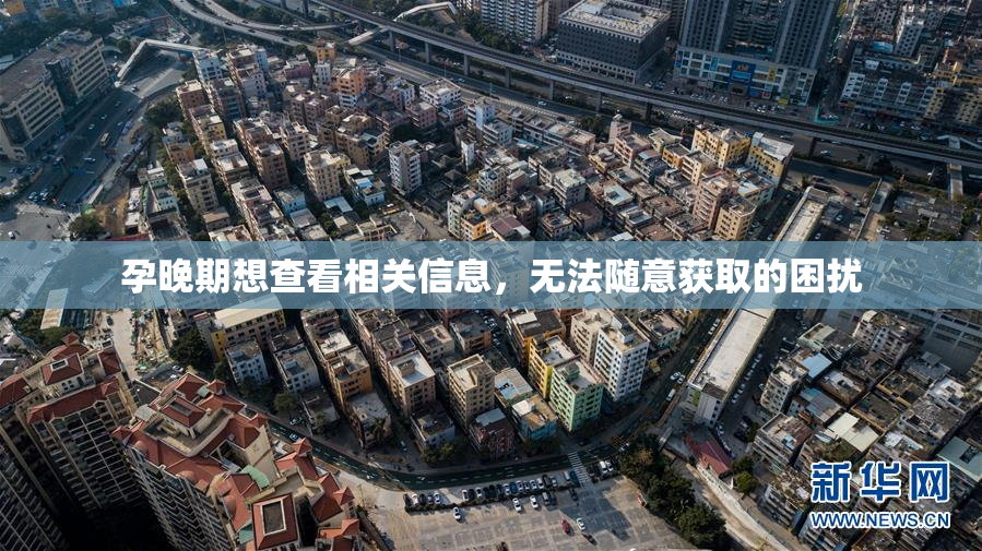 孕晚期想查看相关信息，无法随意获取的困扰