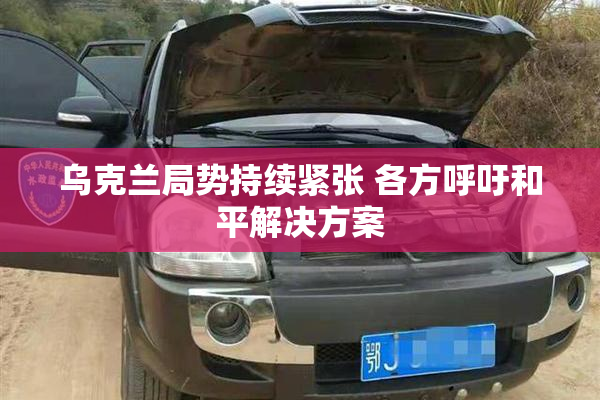 乌克兰局势持续紧张 各方呼吁和平解决方案