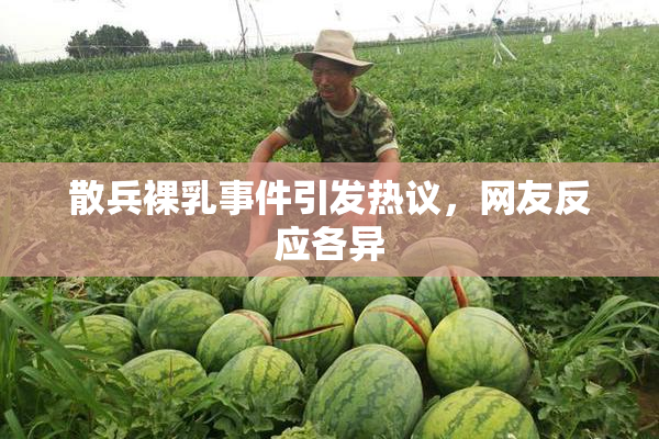 散兵裸乳事件引发热议，网友反应各异