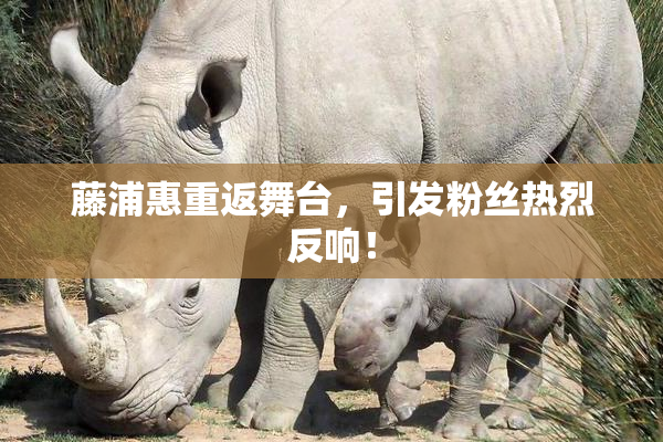 藤浦惠重返舞台，引发粉丝热烈反响！