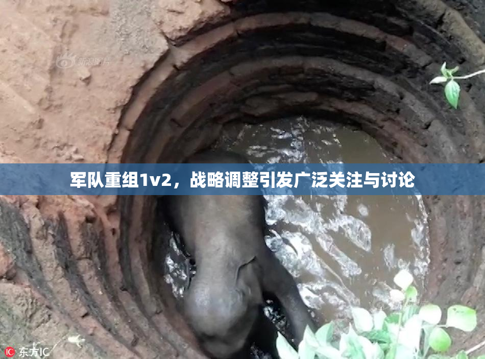 军队重组1v2，战略调整引发广泛关注与讨论