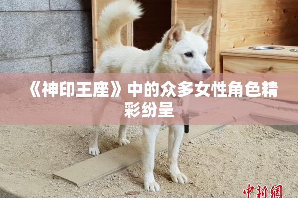《神印王座》中的众多女性角色精彩纷呈