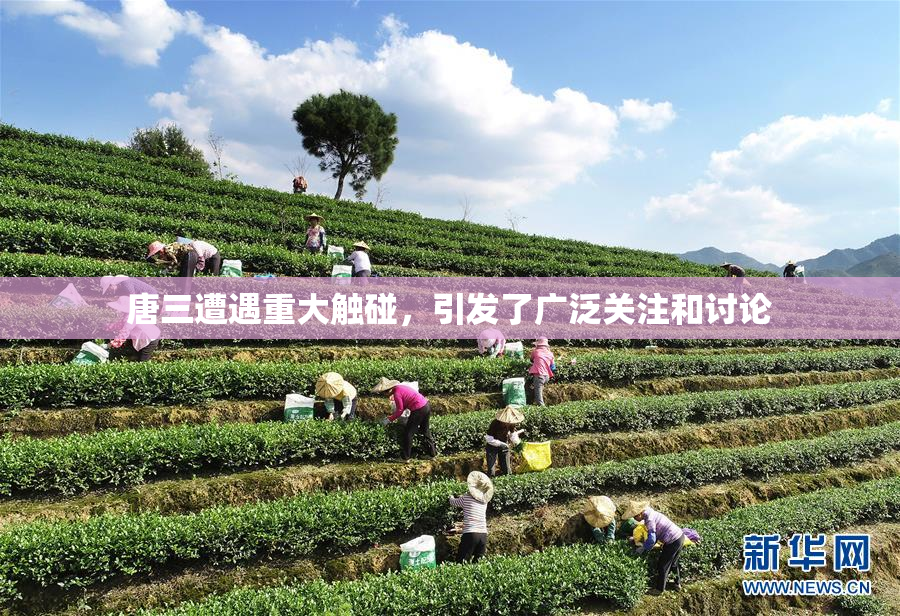 唐三遭遇重大触碰，引发了广泛关注和讨论