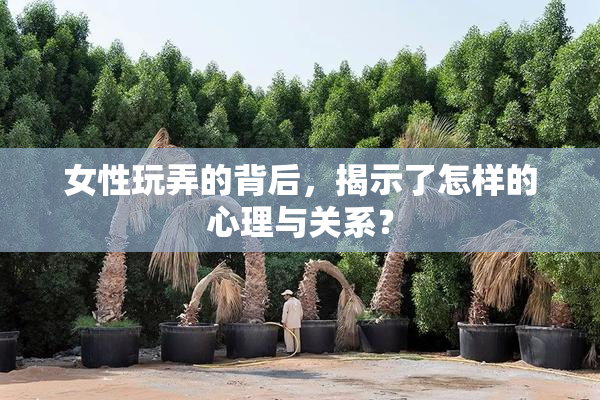 女性玩弄的背后，揭示了怎样的心理与关系？