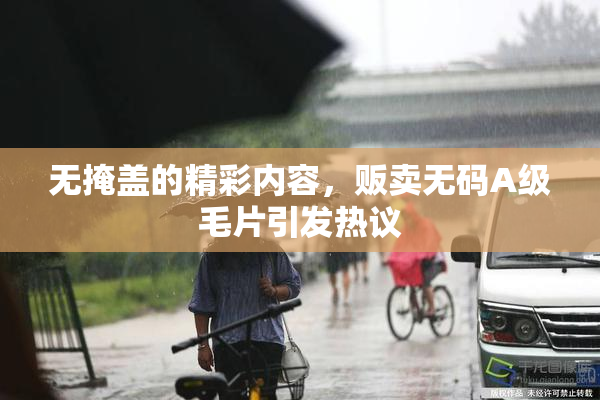 无掩盖的精彩内容，贩卖无码A级毛片引发热议