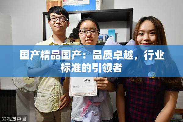 国产精品国产：品质卓越，行业标准的引领者