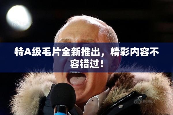特A级毛片全新推出，精彩内容不容错过！