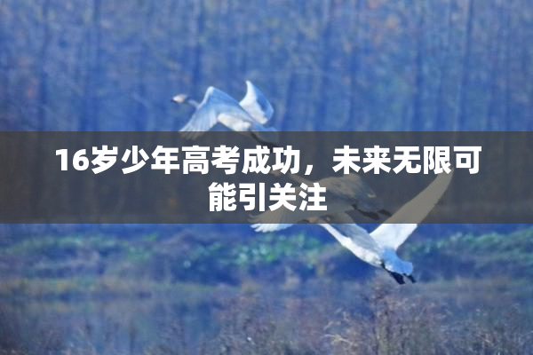 16岁少年高考成功，未来无限可能引关注