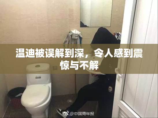 温迪被误解到深，令人感到震惊与不解