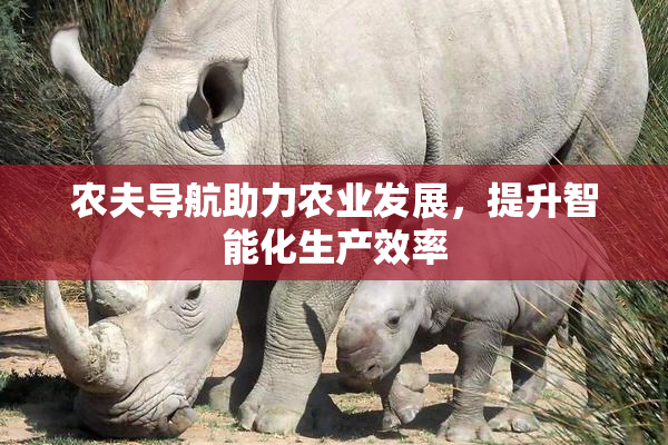 农夫导航助力农业发展，提升智能化生产效率