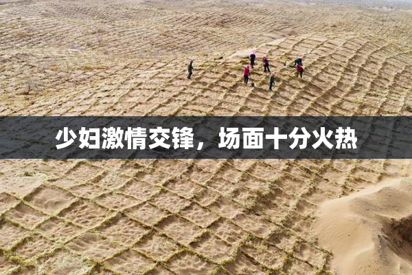 少妇激情交锋，场面十分火热