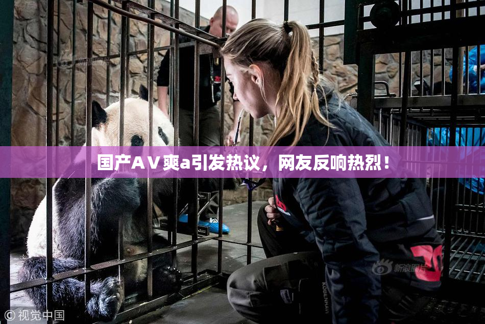 国产AⅤ爽a引发热议，网友反响热烈！
