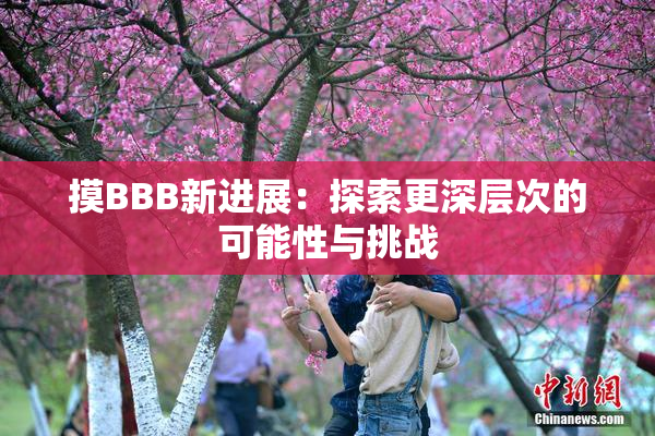 摸BBB新进展：探索更深层次的可能性与挑战