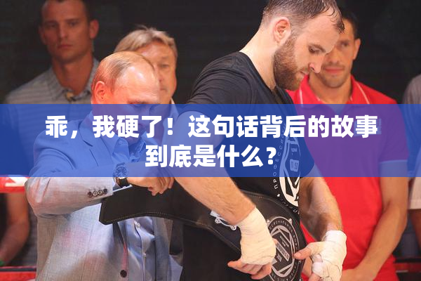 乖，我硬了！这句话背后的故事到底是什么？