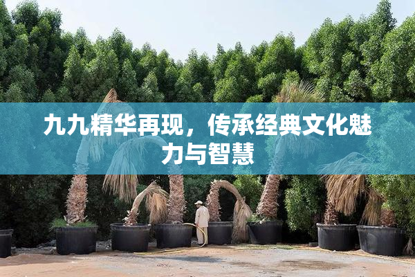 九九精华再现，传承经典文化魅力与智慧