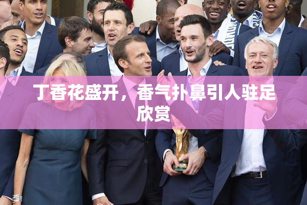 丁香花盛开，香气扑鼻引人驻足欣赏