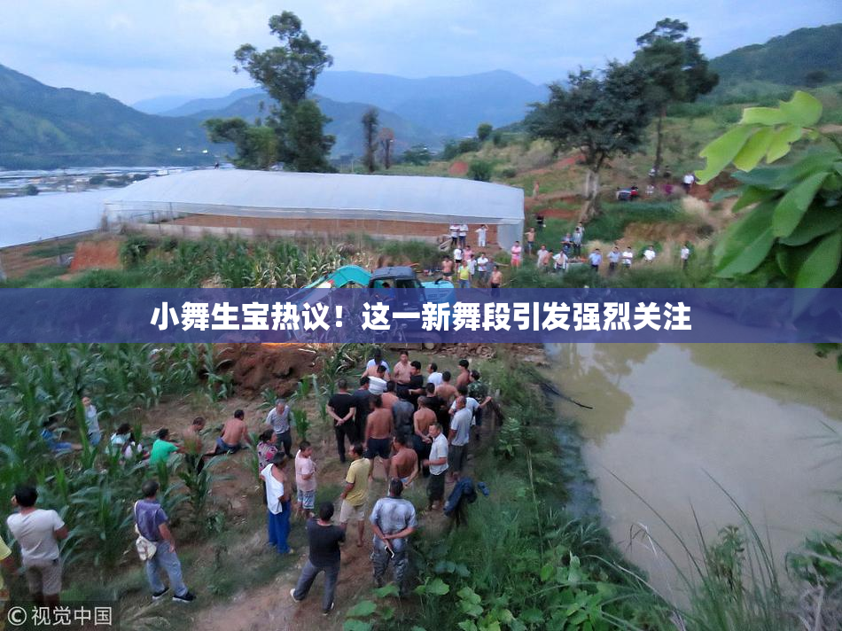 小舞生宝热议！这一新舞段引发强烈关注