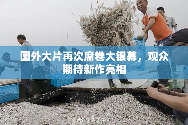 国外大片再次席卷大银幕，观众期待新作亮相