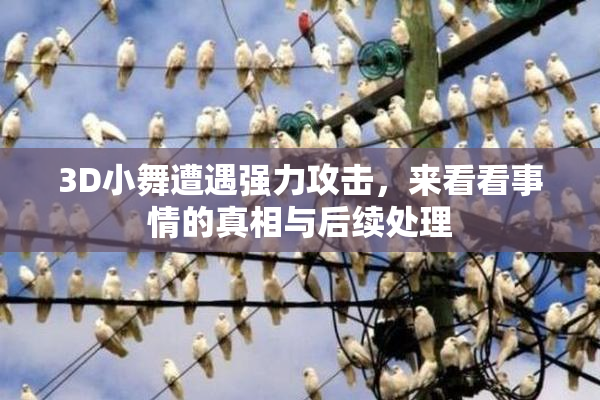 3D小舞遭遇强力攻击，来看看事情的真相与后续处理