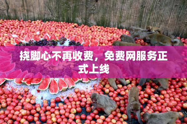 挠脚心不再收费，免费网服务正式上线