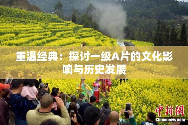 重温经典：探讨一级A片的文化影响与历史发展