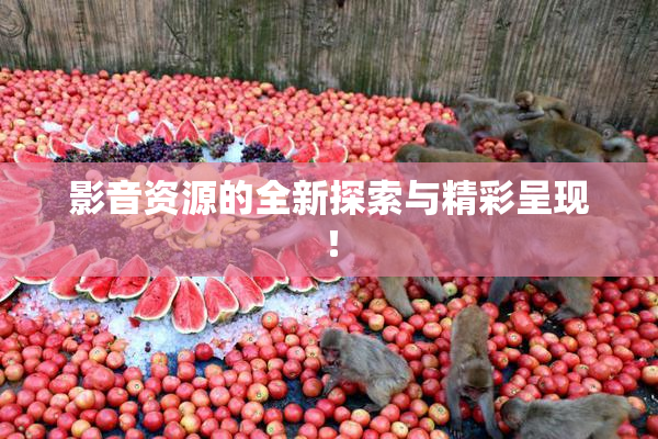影音资源的全新探索与精彩呈现！