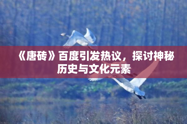 《唐砖》百度引发热议，探讨神秘历史与文化元素