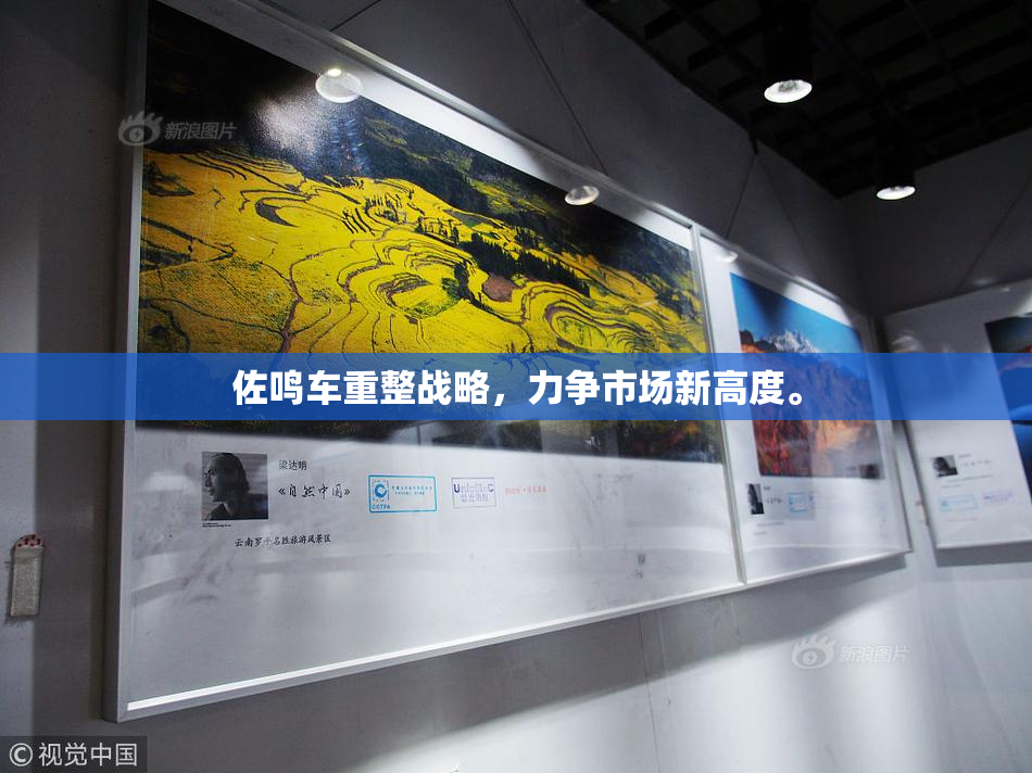 佐鸣车重整战略，力争市场新高度。