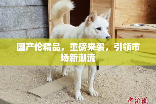 国产伦精品，重磅来袭，引领市场新潮流