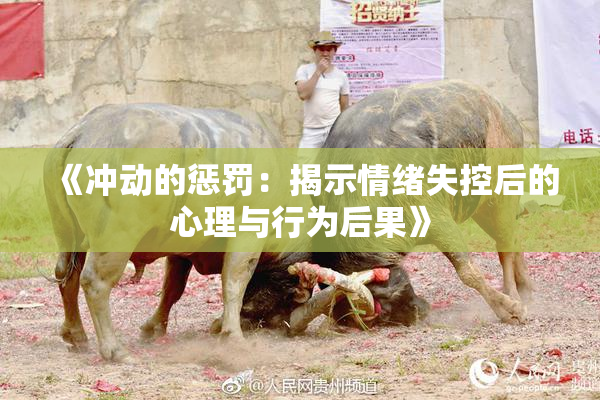 《冲动的惩罚：揭示情绪失控后的心理与行为后果》