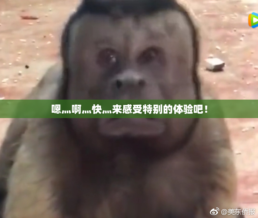 嗯灬啊灬快灬来感受特别的体验吧！