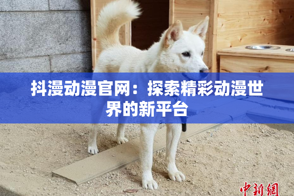 抖漫动漫官网：探索精彩动漫世界的新平台