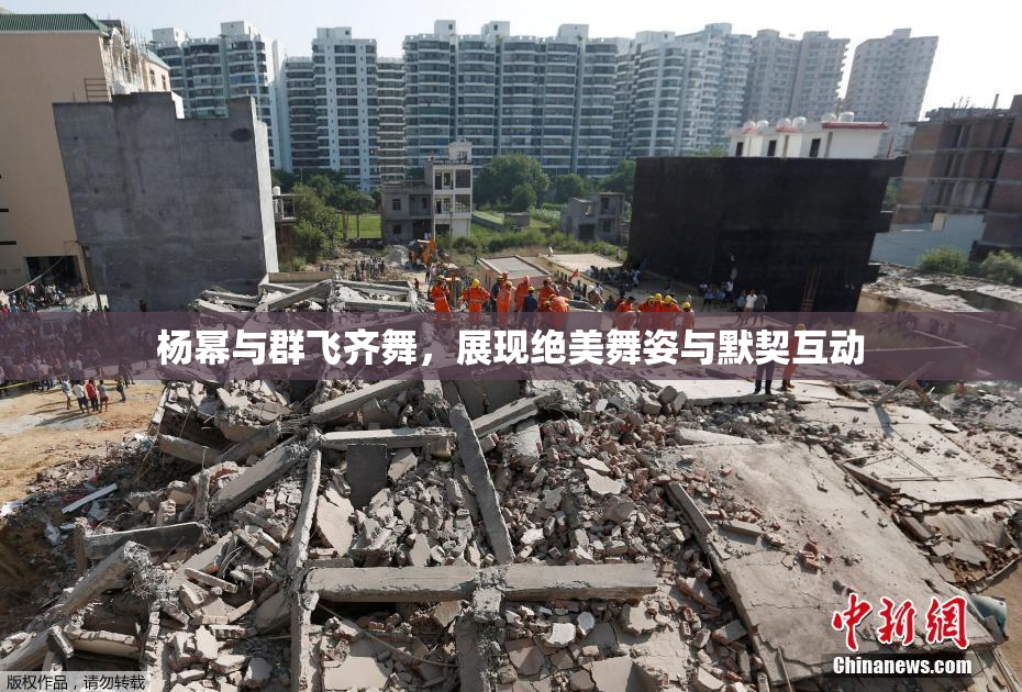 杨幂与群飞齐舞，展现绝美舞姿与默契互动