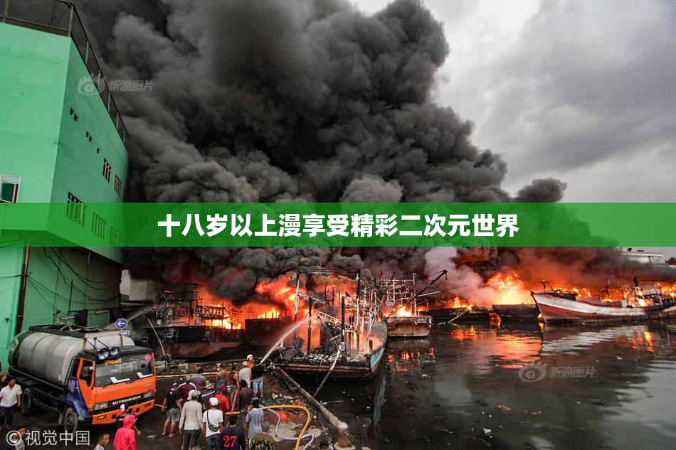 十八岁以上漫享受精彩二次元世界