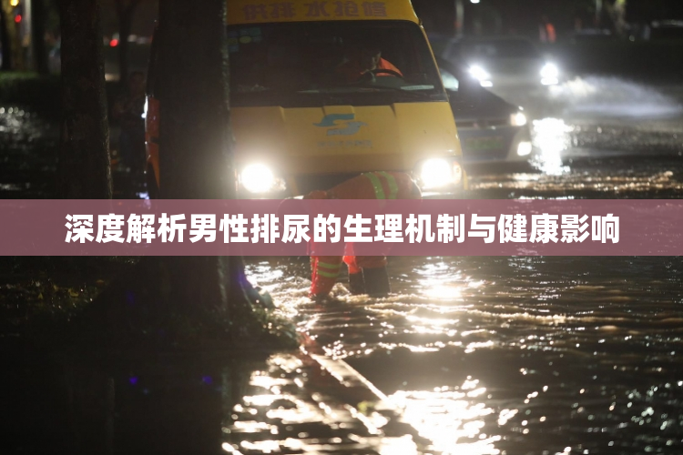 深度解析男性排尿的生理机制与健康影响