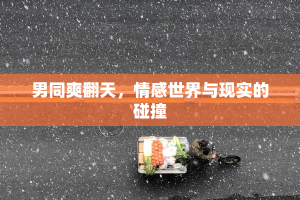 男同爽翻天，情感世界与现实的碰撞