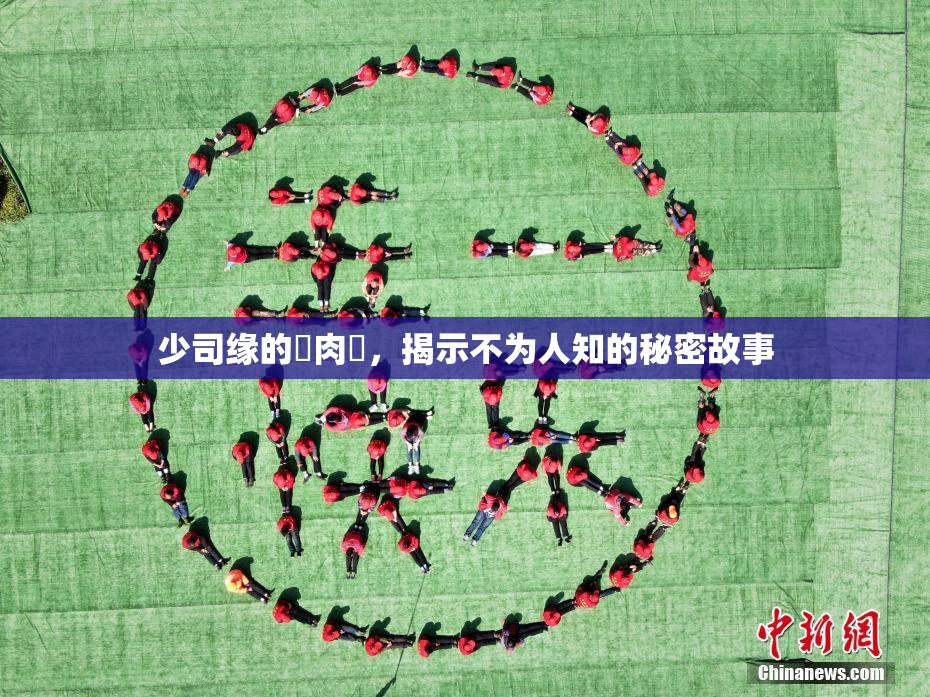 少司缘的婬肉泬，揭示不为人知的秘密故事