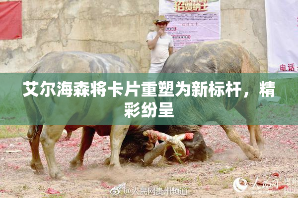 艾尔海森将卡片重塑为新标杆，精彩纷呈