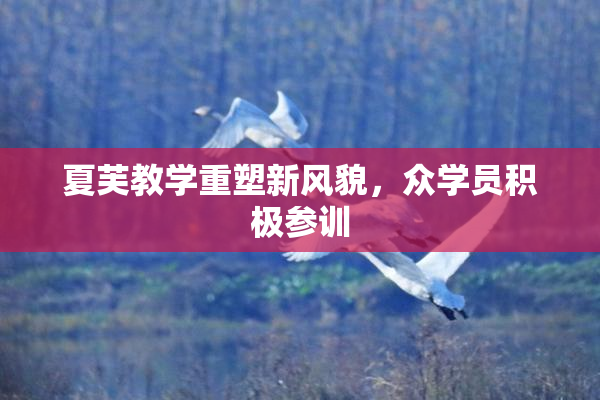 夏芙教学重塑新风貌，众学员积极参训