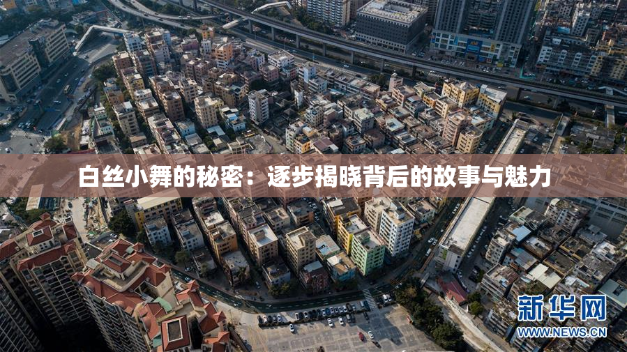 白丝小舞的秘密：逐步揭晓背后的故事与魅力
