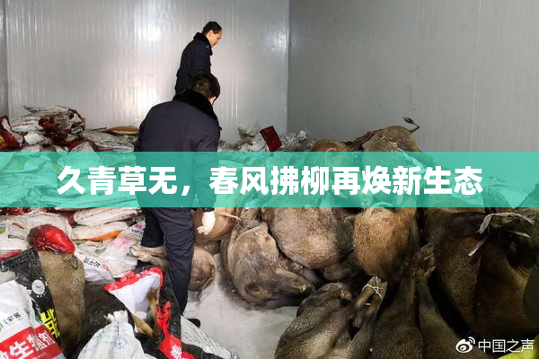久青草无，春风拂柳再焕新生态
