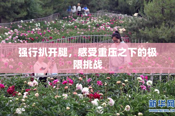 强行扒开腿，感受重压之下的极限挑战