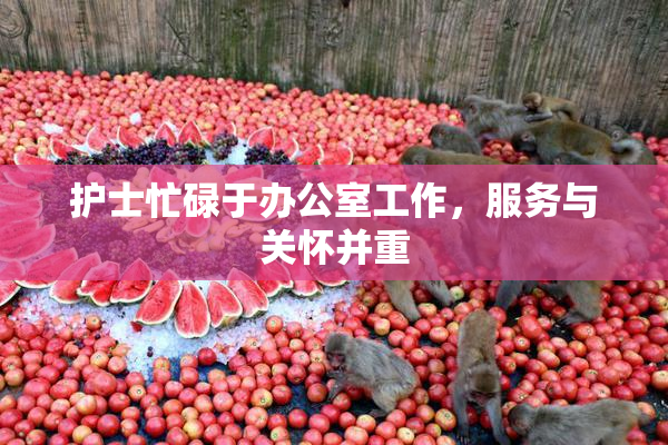 护士忙碌于办公室工作，服务与关怀并重