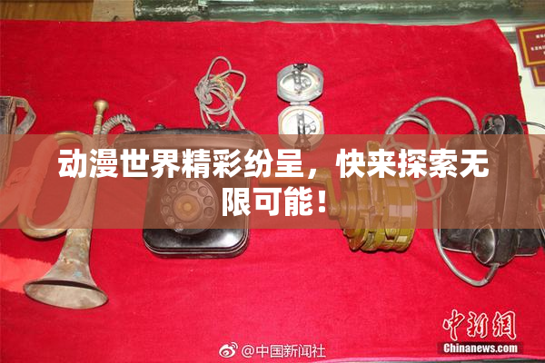 动漫世界精彩纷呈，快来探索无限可能！