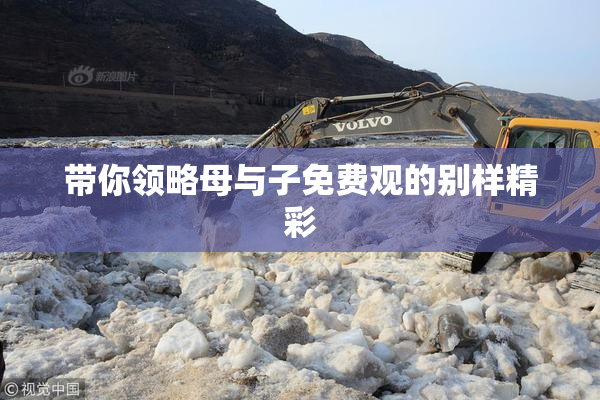 带你领略母与子免费观的别样精彩