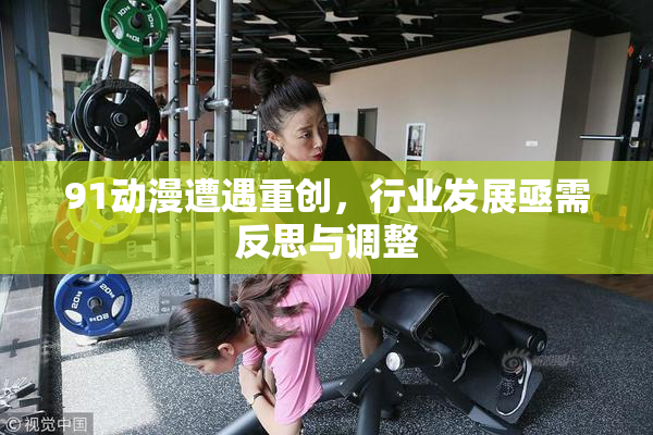 91动漫遭遇重创，行业发展亟需反思与调整