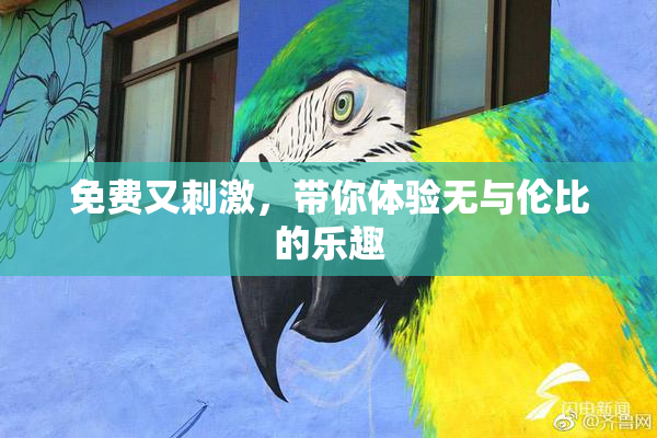 免费又刺激，带你体验无与伦比的乐趣